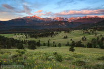 beaver meadows, longs peak, flowers, rocky mountain national