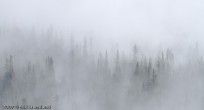 Panoramic Photos