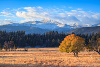 beaver meadow, longs peak, aspen, snow, autumn, rocky mounta