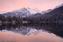 Reflections