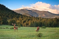 Beaver Meadows