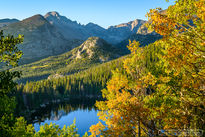 bear lake, rocky mountain national park, aspen, aspen leaves