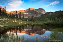 thunder lake, wild basin, mount alice, reflection, flower, a