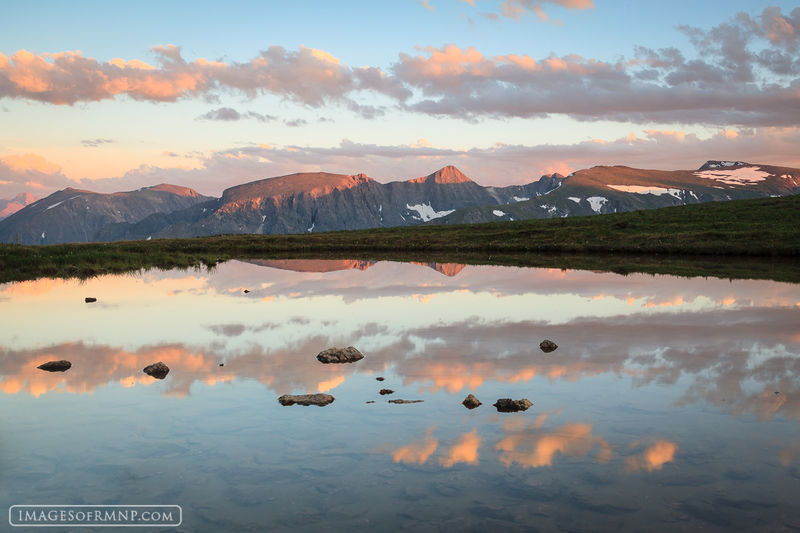 mount julian, terra tomah, forest canyon, tundra, july, refl photo