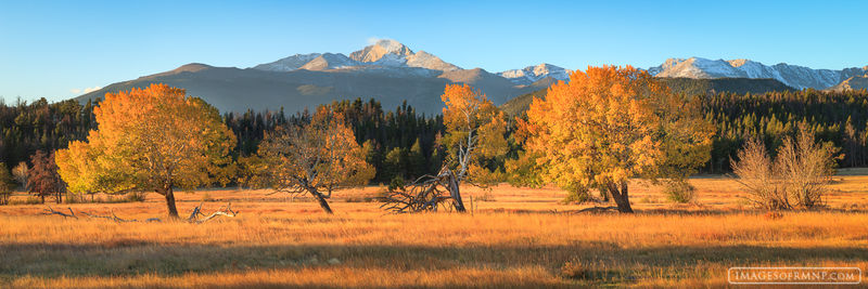 longs peak, october, beaver meadows, aspen, rocky mountain n