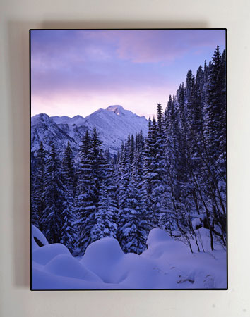 Fine Art Print