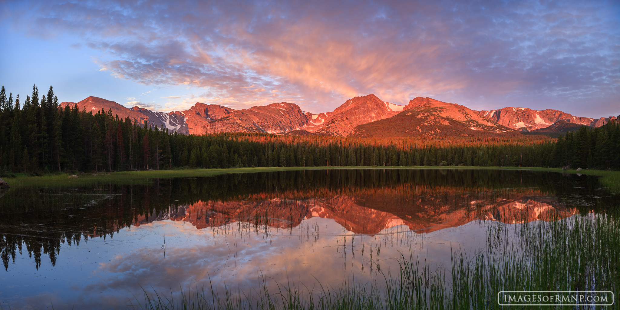Rocky Mountain National Park is usually a very windy place. When I walked out my door early on this summer morning there wasn...